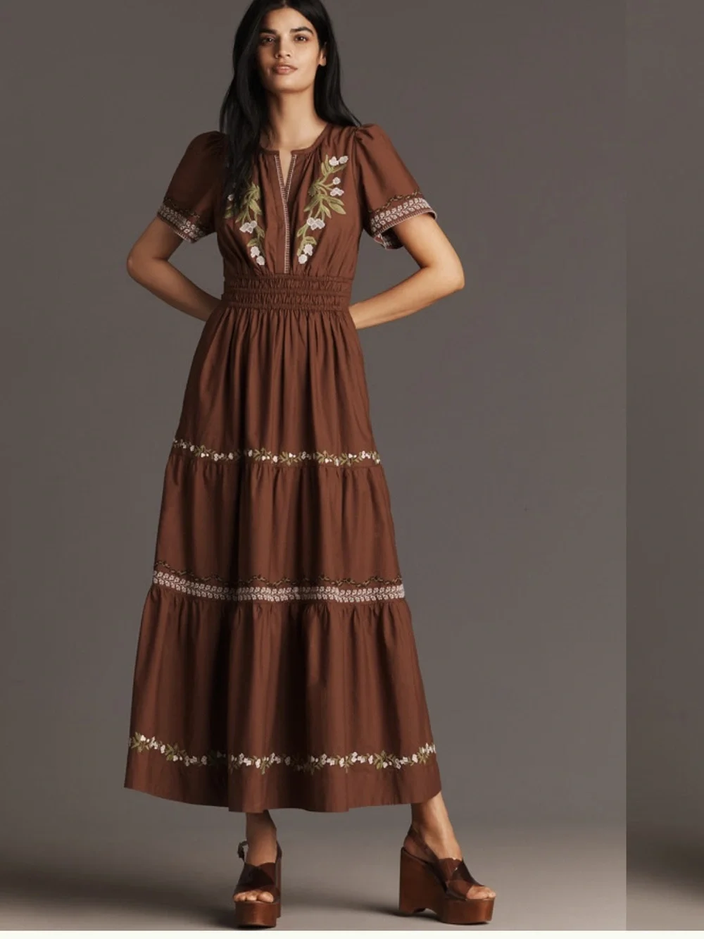 ANTHROPOLOGIE The Somerset Embroidered Maxi Dress in Brown Floral size XL - Picture 1 of 9